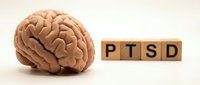 Anatomical brain model next to wooden letter blocks spelling PTSD on neutral background for mental health awareness and medical education concepts.