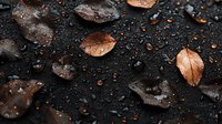 Fallen autumn leaves with water drops on dark wet surface. Moody nature background with brown foliage and rain droplets creates dramatic atmosphere.