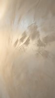 Soft beige textured surface with organic brushstroke patterns and subtle shadows, suitable for backgrounds, overlays, and design elements.