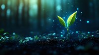 Young green sprout growing from soil at night with magical glowing particles and bokeh lights in dark mysterious forest environment. Nature awakening concept.