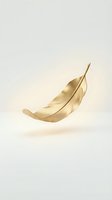 Golden feather floating against neutral background, isolated and ready for design projects, branding, and creative compositions.