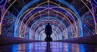 Silhouette of person standing in futuristic illuminated tunnel with colorful neon lights creating geometric archway patterns for technology and innovation concepts.