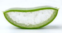 Fresh aloe vera leaf slice showing clear healing gel with water droplets, natural skincare ingredient for cosmetic and wellness products.