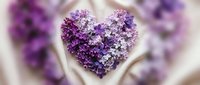 Heart-shaped arrangement of purple and white lilac flowers on soft fabric, romantic floral composition for Valentine's Day, wedding, or spring greeting card.