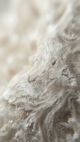 Close-up macro shot of weathered driftwood surface showing natural grain patterns and texture details for organic design projects.