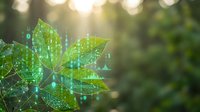 Fresh green leaves with digital network overlay and glowing connections representing technology, innovation, and sustainable development in nature.