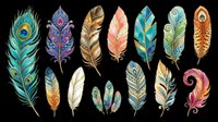 Colorful decorative feathers set, isolated on transparent background, ready for stickers, sublimation, t-shirt design, clipart, and print on demand projects.