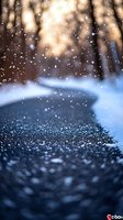Falling snow creates magical atmosphere on dark asphalt road with bokeh effect and blurred winter forest background in warm golden sunset light.