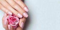 Elegant female hands with pink manicure holding delicate rose flower against neutral gray background. Beauty salon concept.