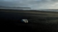 Seal resting on black sand beach with dramatic mountain backdrop and overcast sky, suitable for wildlife and nature editorial use.