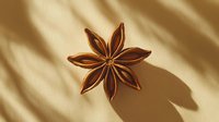 Star anise pod casting dramatic shadow on beige surface with natural window light creating minimalist food photography composition for culinary and spice concepts.