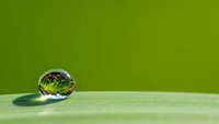 Crystal clear water droplet on vibrant green leaf surface with natural lighting and soft shadow creating fresh morning dew effect for wellness concepts.