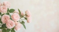 Soft pink roses bouquet on light background with copy space for romantic wedding invitations greeting cards and feminine design projects.