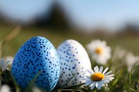 Spotted Easter eggs in blue and white tones nestled in spring grass with blooming daisies, creating seasonal holiday atmosphere. Natural outdoor setting with soft bokeh.