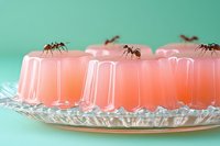Pink gelatin dessert on crystal plate with ants crawling over it, mint green background, surreal food concept for creative projects.