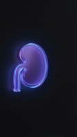Glowing neon kidney organ with purple and blue light effects on dark background for medical healthcare and urology concepts.