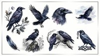 Watercolor ravens and crows collection, isolated on transparent background. Dark birds in various poses, feather accent, ready for stickers, t-shirt design, and print on demand.
