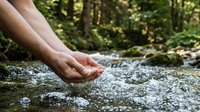 Hands cupped collecting fresh mountain stream water in lush green forest setting for drinking, wellness and nature connection activities.