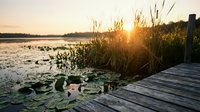 Wooden dock overlooking serene lake at golden hour sunset with lily pads and marsh grass creating peaceful natural landscape for relaxation and meditation.