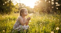 Young blonde girl blowing dandelion seeds in sunny meadow during golden hour sunset creating magical floating particles in warm natural light.