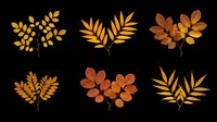 Six autumn leaf branches in warm orange and brown tones, isolated on transparent background. Ready for seasonal clipart, stickers, t-shirt design, sublimation, and print on demand.