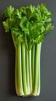 Fresh green celery stalks with leaves standing upright against dark background, macro food photography showing texture and natural pattern of vegetable.