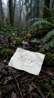 Crumpled note with word Sorry lying on wet forest floor among moss, ferns and fallen leaves on a misty rainy day, evoking regret and mystery.