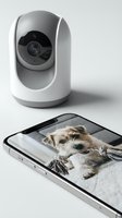 Modern white security camera monitoring small terrier dog displayed on smartphone screen for home surveillance and pet monitoring system.