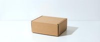 Brown cardboard shipping box on white background isolated for packaging design and e-commerce delivery concepts.