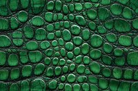 Emerald green crocodile skin texture with detailed scales and natural pattern creates luxurious leather background for fashion and design projects.