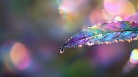 Colorful leaf with water droplets catching rainbow light reflections against blurred bokeh background creates magical nature macro photography effect.