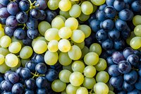 Fresh green and dark purple grape clusters background showing ripe, juicy fruit texture. Natural organic produce pattern for wine or healthy eating concept.