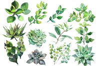 Watercolor botanical set of green succulents and eucalyptus branches perfect for wedding invitations, greeting cards, and nature-inspired design projects. Isolated elements on white background.