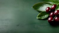 Fresh ripe cherries with green leaves on dark green background with copy space. Natural organic berries macro photography for food design.
