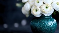White ranunculus flowers in ornate teal ceramic vase against dark background with soft bokeh lights, elegant floral arrangement for wedding and home decor.