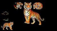 Isolated tiger illustrations in various poses and expressions on transparent background, ready for t-shirt design, clipart, stickers, sublimation and print-on-demand projects.