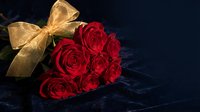Bouquet of red roses with golden ribbon bow on dark blue velvet background, romantic gift for Valentine's Day or anniversary.