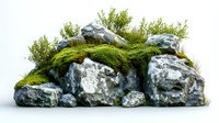 Moss covered gray rocks with green plants and grass on white background, natural landscape element isolated for design projects and digital compositions.