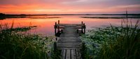 Wooden pier extending into calm lake at golden sunset with vibrant orange and pink sky reflecting on water surface surrounded by tall grass and reeds.