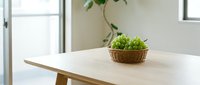 Wooden table with small potted green plant in wicker basket near bright window, minimalist interior design space for home decor and lifestyle content.