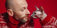 Bearded Caucasian man in red Christmas sweater bonding with hairless sphynx cat against red background during holiday season.