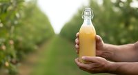 Fresh apple juice in glass bottle held by farmer hands in orchard garden. Organic beverage production, natural farming, and healthy drink concept for food and agriculture marketing.