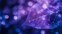 Delicate transparent leaf skeleton with purple and blue bokeh background creates magical nature atmosphere. Macro photography reveals intricate vein patterns.