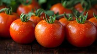 Fresh ripe red tomatoes with water drops and green stems arranged in row on dark wooden surface, macro food photography for healthy eating concept.