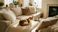 Cozy living room with an orange tabby cat resting on a knit blanket, neutral tones, soft natural light, and a warm fireplace in background.