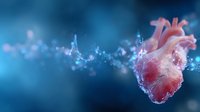 Anatomical heart floating in blue ethereal space with glowing particles and light trails creating magical atmosphere for medical and science concepts.