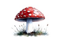 Red and white spotted mushroom amanita muscaria growing in grass with watercolor artistic style on white background, isolated botanical illustration.