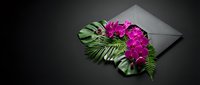 Pink orchids and tropical green leaves arranged in a black envelope on dark background, elegant floral composition with copy space.