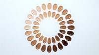 Diverse skin tone color palette arranged in circular pattern showing range from light to dark shades for inclusive beauty and cosmetic applications.