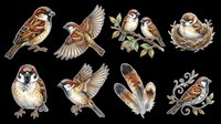 Sparrow birds collection isolated on transparent background, ready for t-shirt design, clipart, stickers, sublimation and print-on-demand projects.